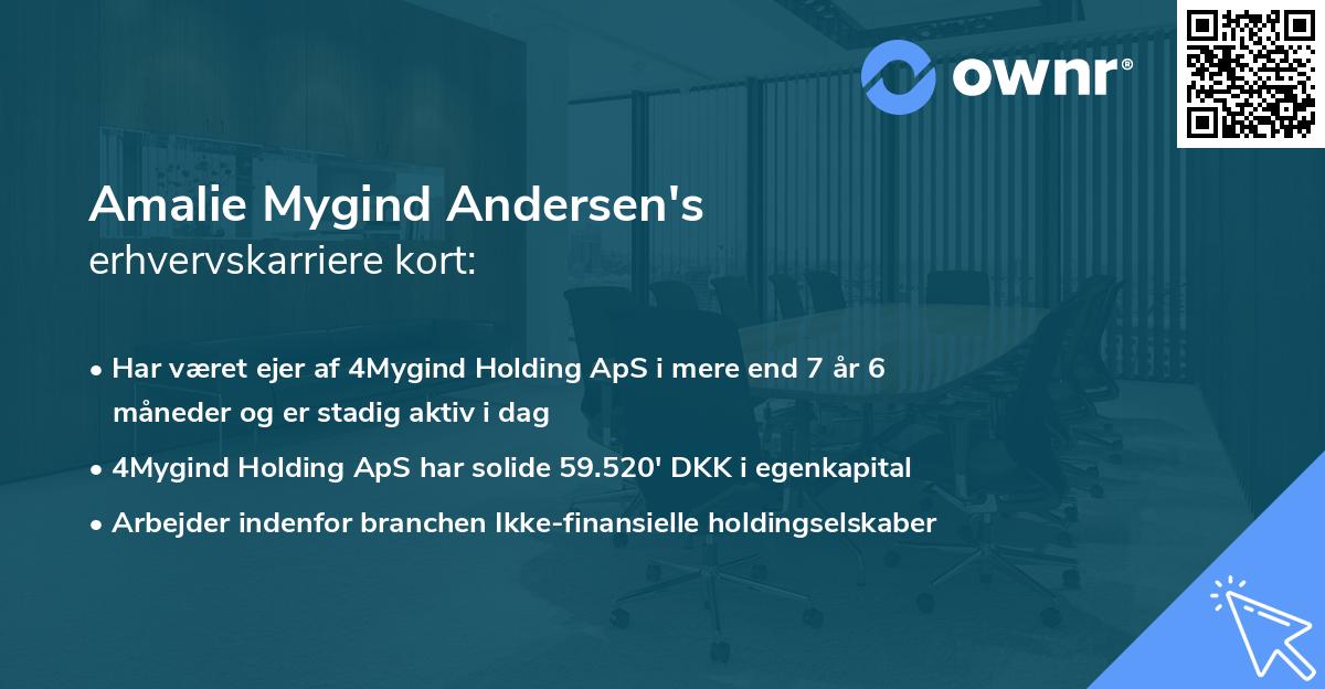 Amalie Mygind Andersen's erhvervskarriere kort