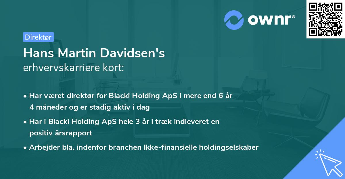 Hans Martin Davidsen's erhvervskarriere kort