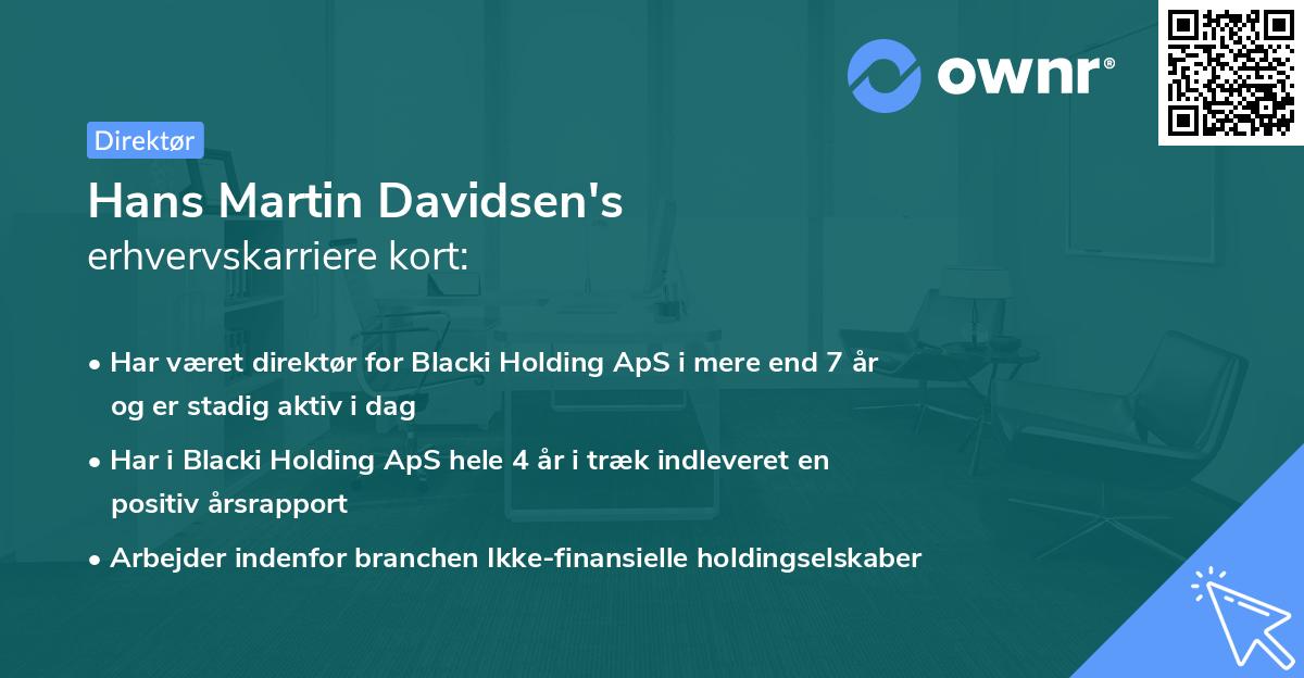 Hans Martin Davidsen's erhvervskarriere kort