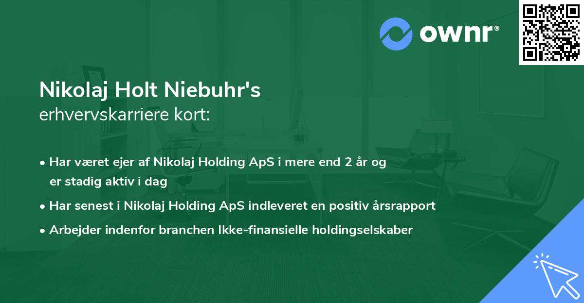 Nikolaj Holt Niebuhr's erhvervskarriere kort