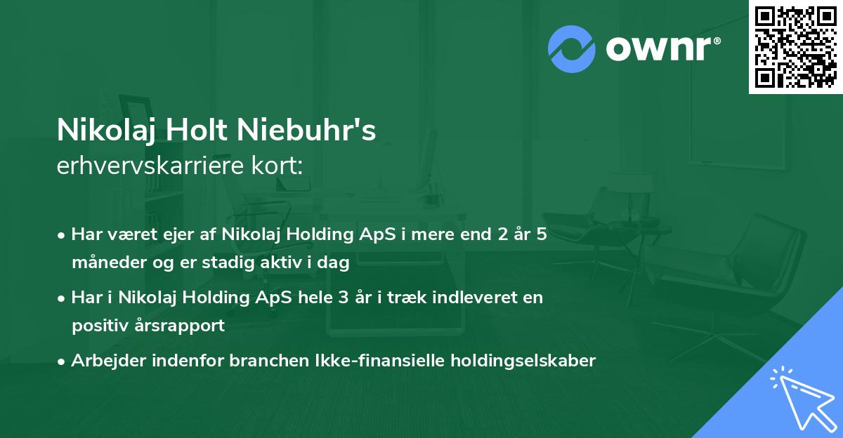 Nikolaj Holt Niebuhr's erhvervskarriere kort