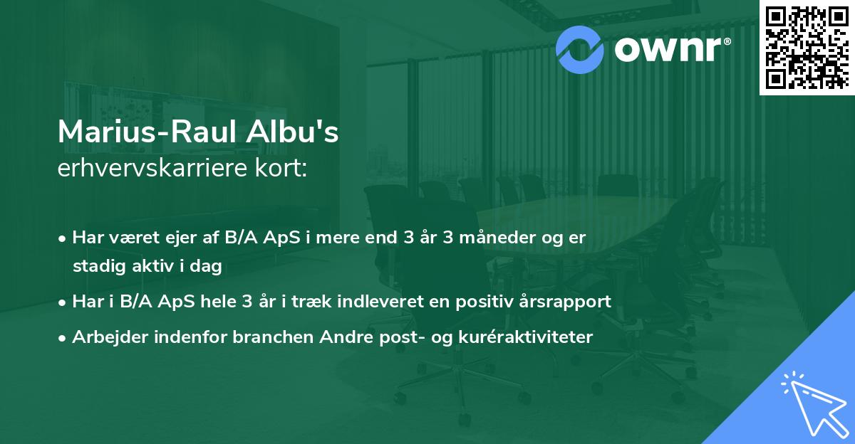 Marius-Raul Albu's erhvervskarriere kort