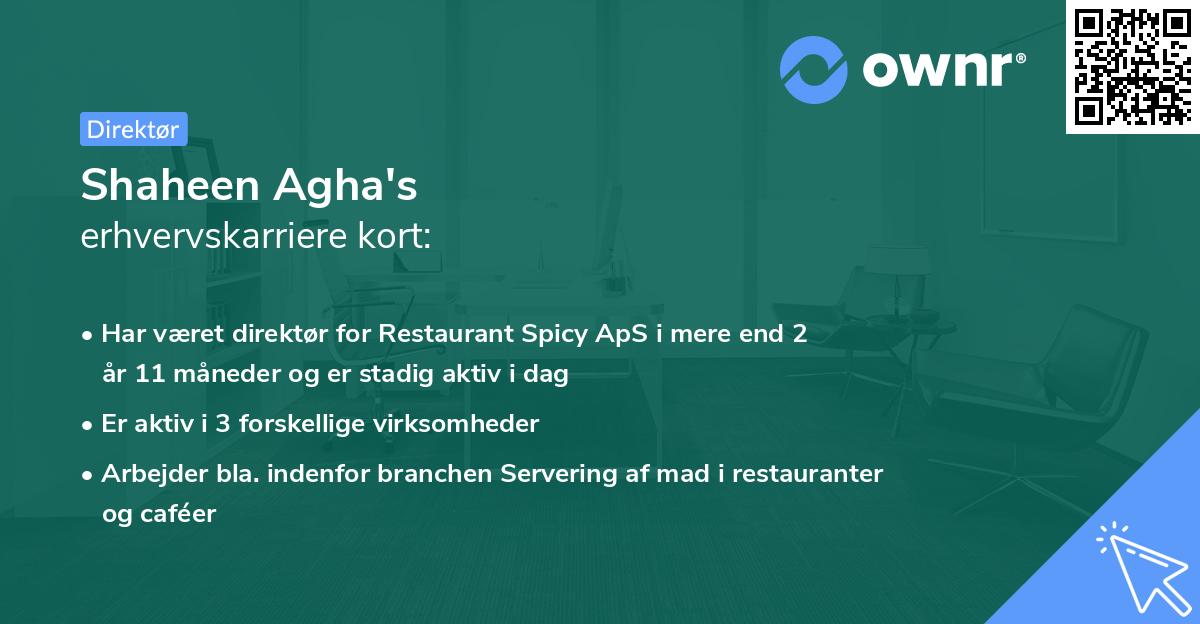 Shaheen Agha's erhvervskarriere kort