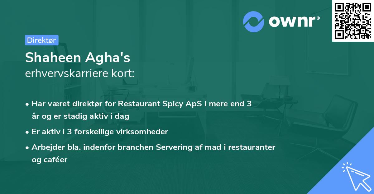 Shaheen Agha's erhvervskarriere kort