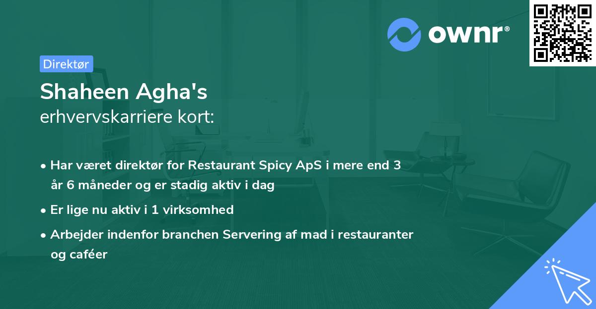 Shaheen Agha's erhvervskarriere kort