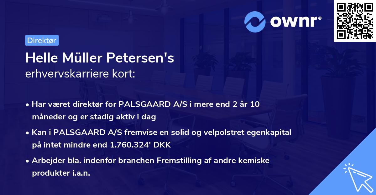 Helle Müller Petersen's erhvervskarriere kort