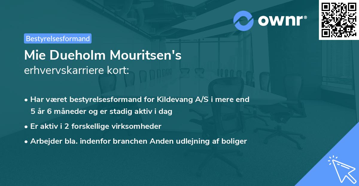 Mie Dueholm Mouritsen's erhvervskarriere kort