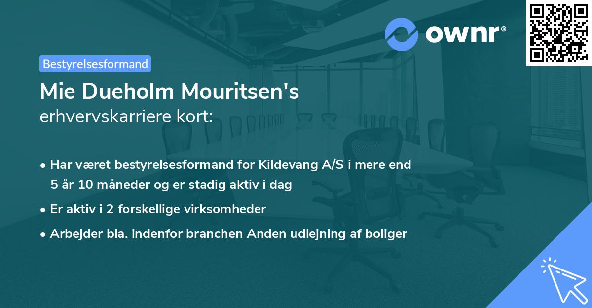 Mie Dueholm Mouritsen's erhvervskarriere kort
