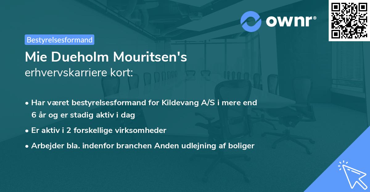 Mie Dueholm Mouritsen's erhvervskarriere kort