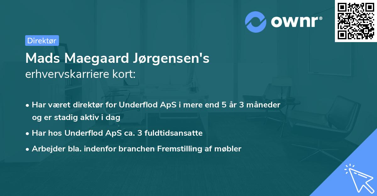Mads Maegaard Jørgensen's erhvervskarriere kort