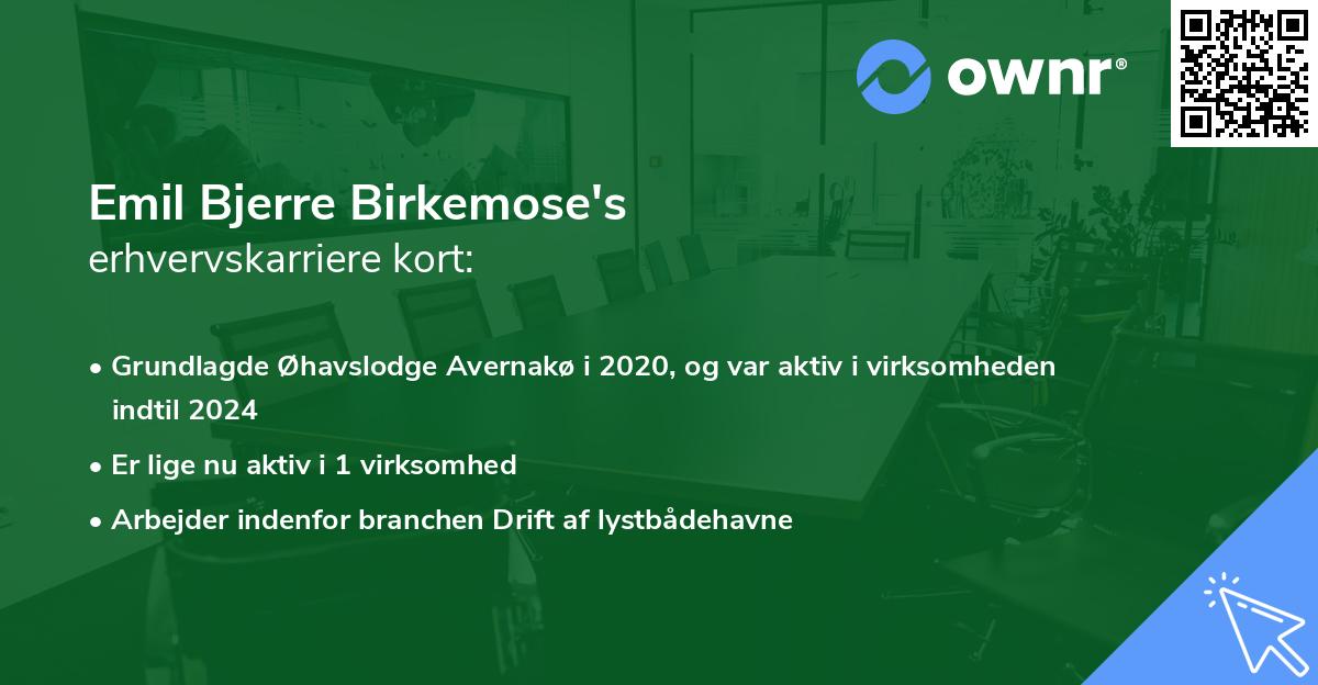Emil Bjerre Birkemose's erhvervskarriere kort