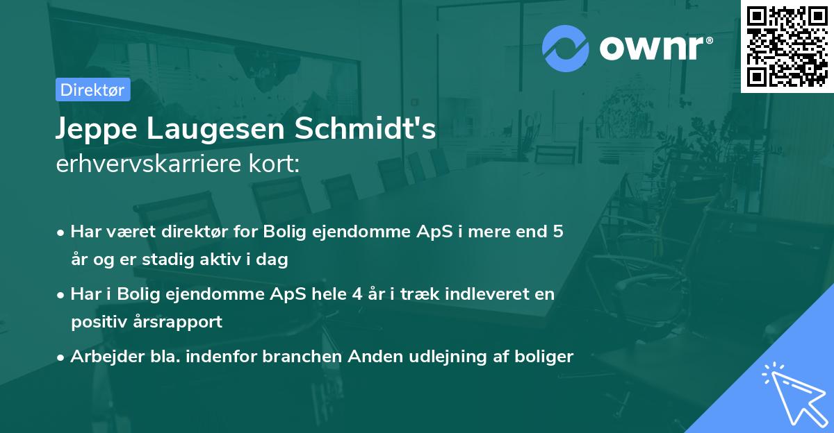 Jeppe Laugesen Schmidt's erhvervskarriere kort