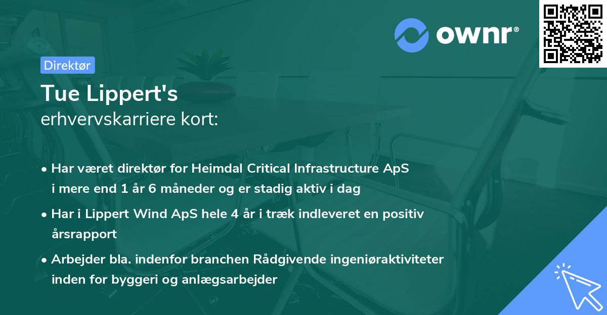 Tue Lippert's erhvervskarriere kort
