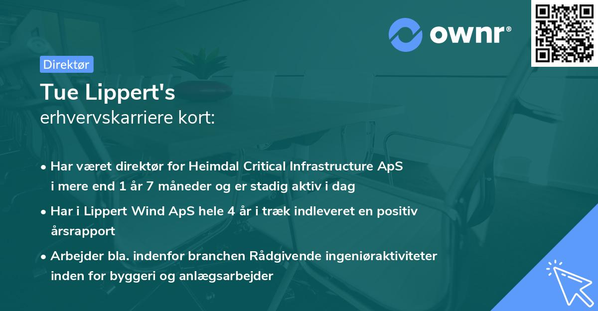 Tue Lippert's erhvervskarriere kort
