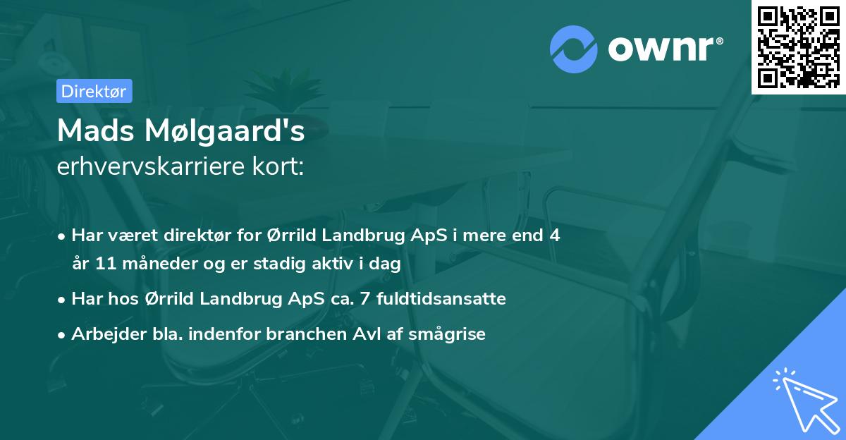 Mads Mølgaard's erhvervskarriere kort