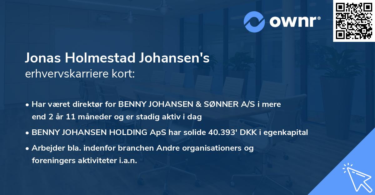 Jonas Holmestad Johansen's erhvervskarriere kort