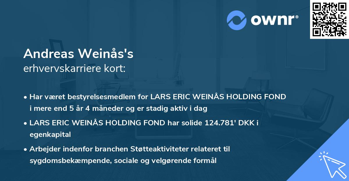 Andreas Weinås's erhvervskarriere kort