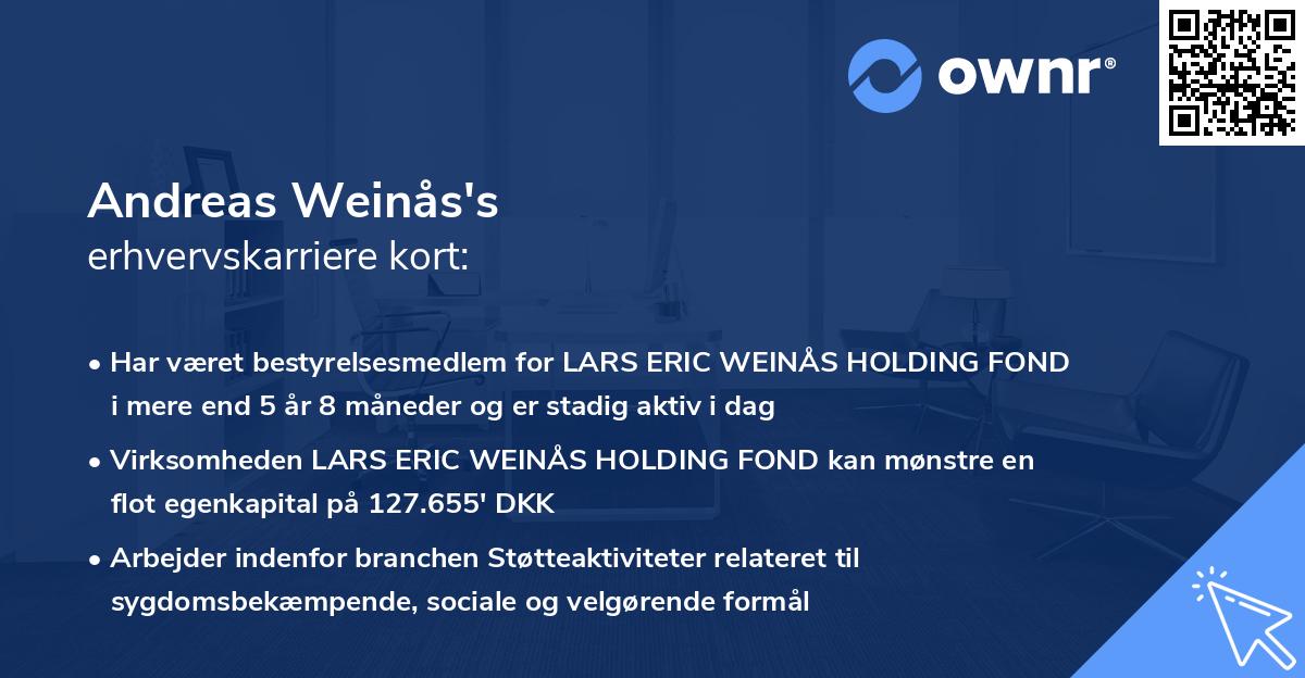 Andreas Weinås's erhvervskarriere kort
