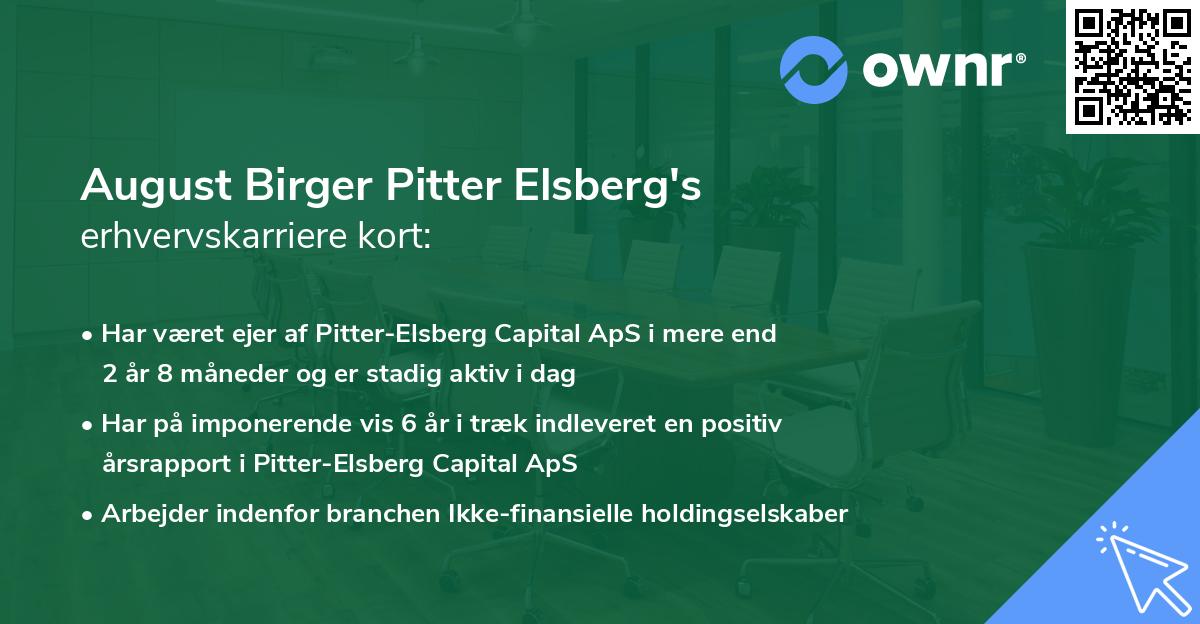 August Birger Pitter Elsberg's erhvervskarriere kort