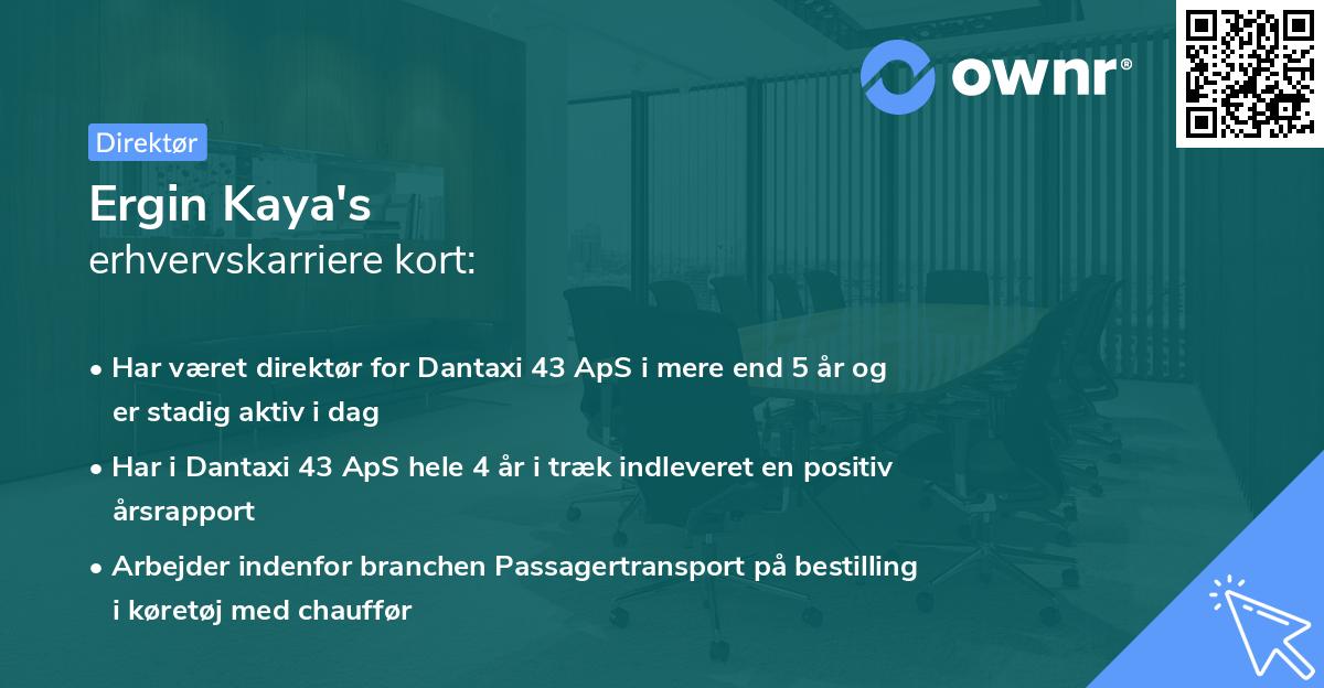 Ergin Kaya's erhvervskarriere kort