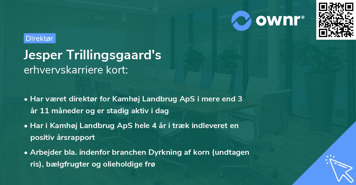 Jesper Trillingsgaard's erhvervskarriere kort
