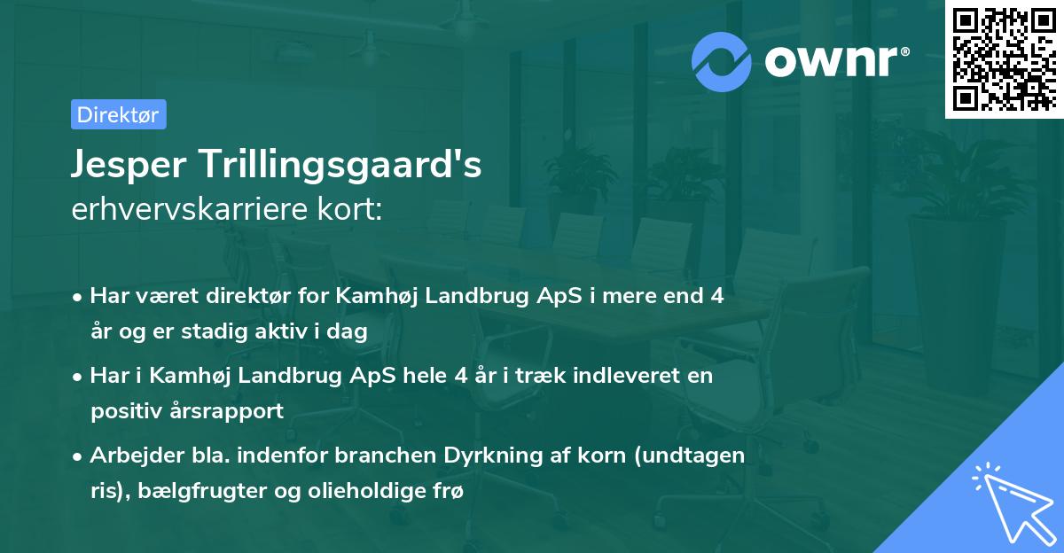 Jesper Trillingsgaard's erhvervskarriere kort