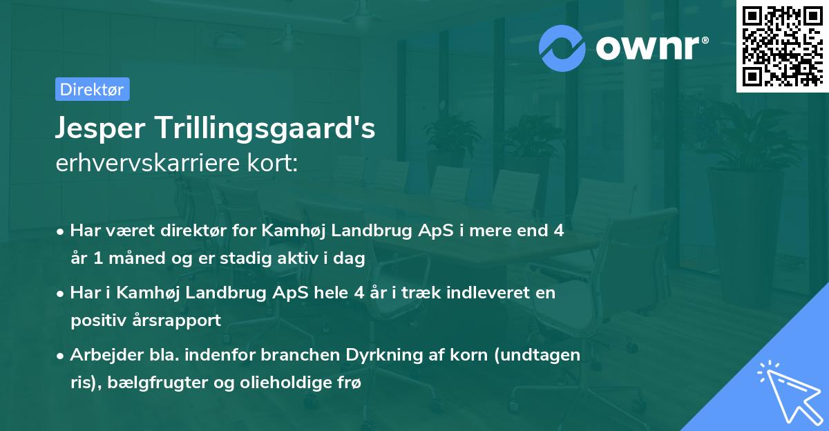 Jesper Trillingsgaard's erhvervskarriere kort