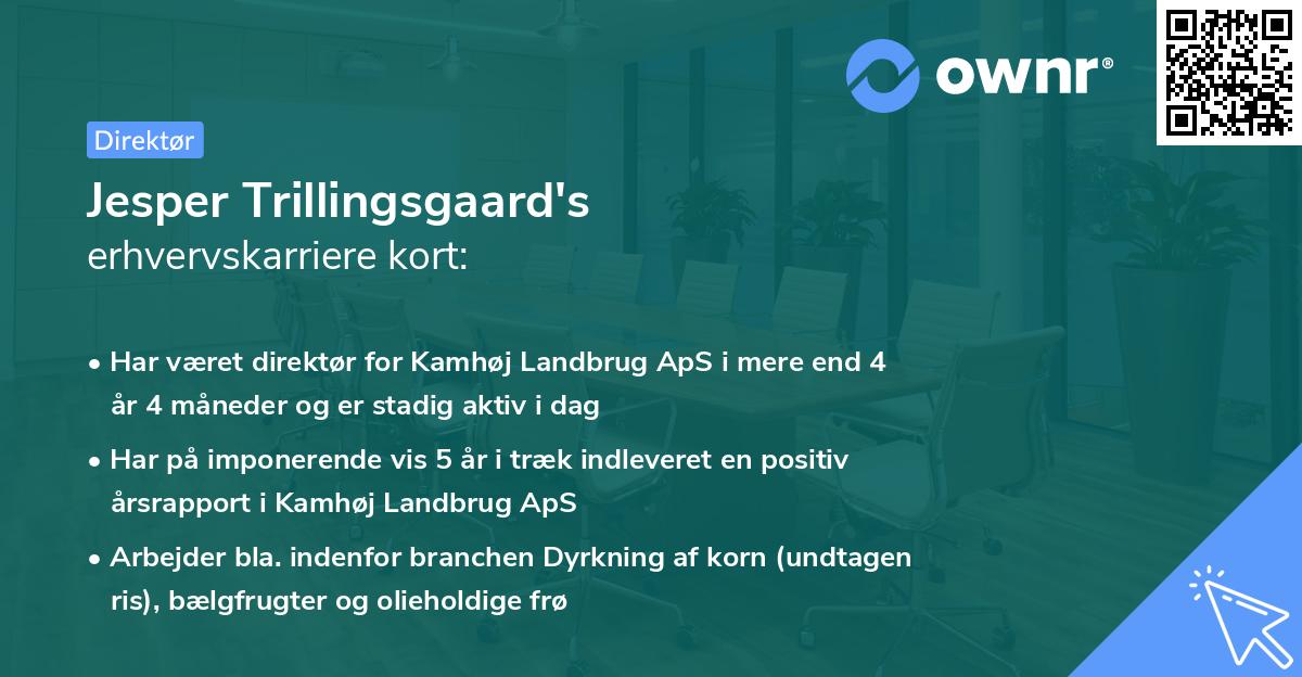 Jesper Trillingsgaard's erhvervskarriere kort