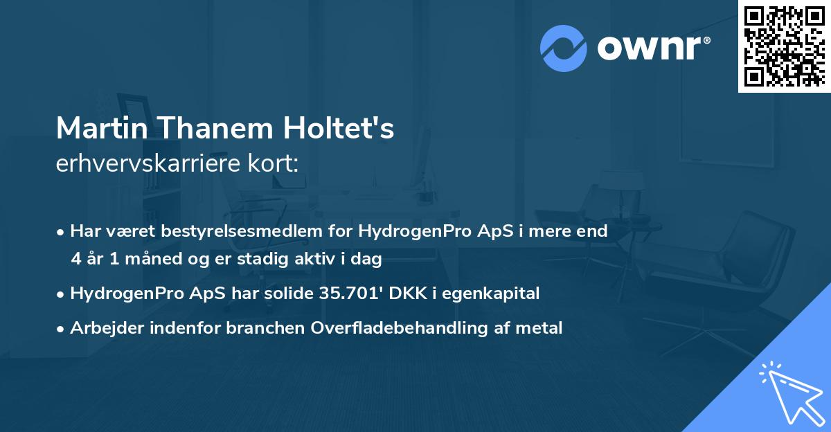 Martin Thanem Holtet's erhvervskarriere kort
