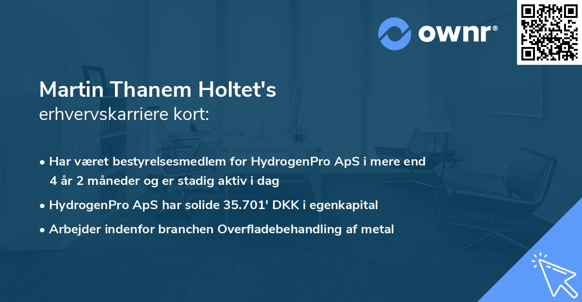 Martin Thanem Holtet's erhvervskarriere kort