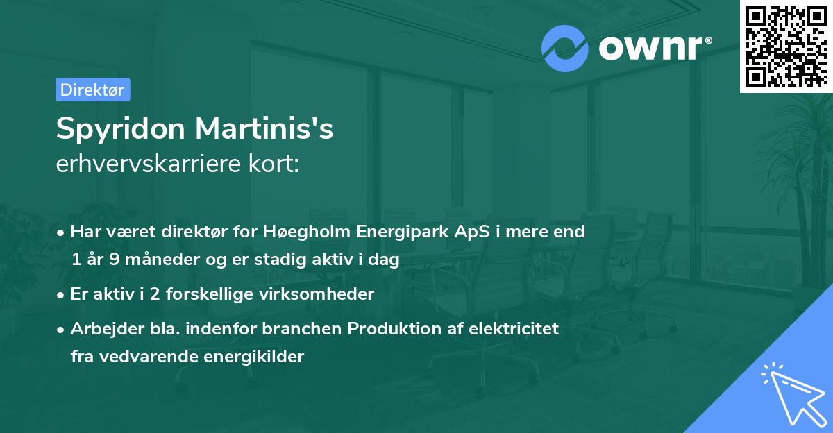 Spyridon Martinis's erhvervskarriere kort