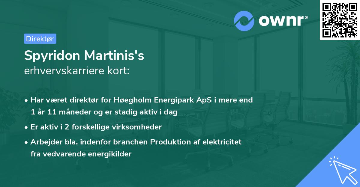 Spyridon Martinis's erhvervskarriere kort