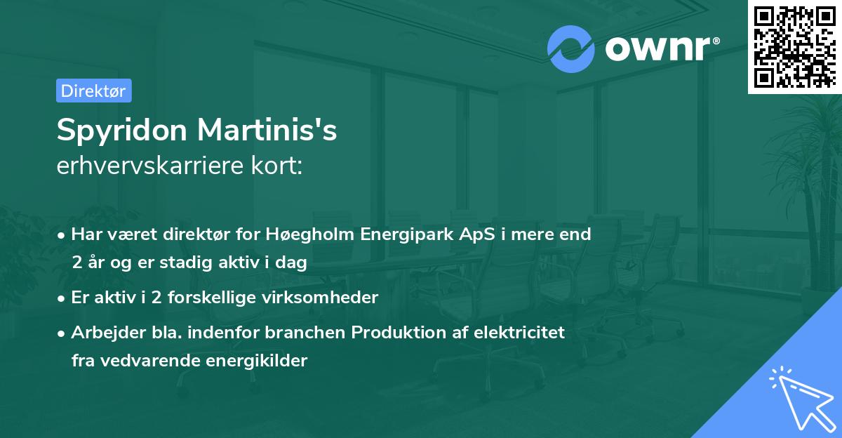 Spyridon Martinis's erhvervskarriere kort