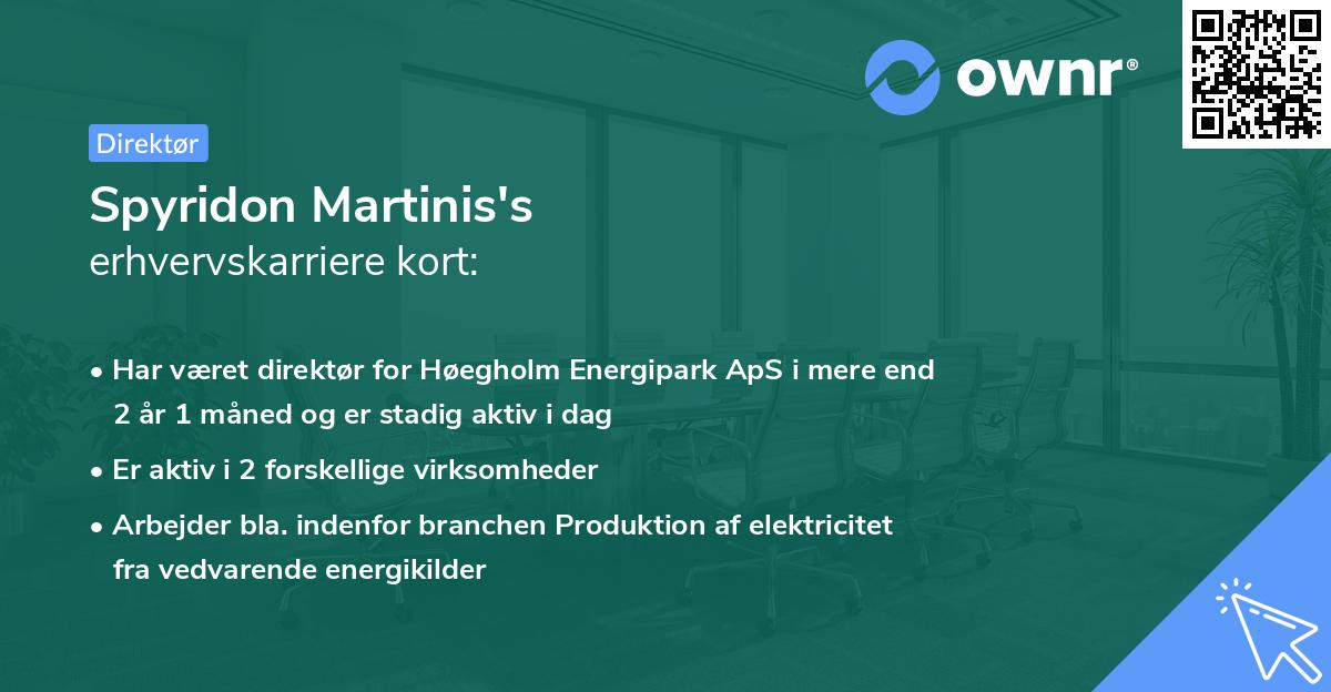 Spyridon Martinis's erhvervskarriere kort