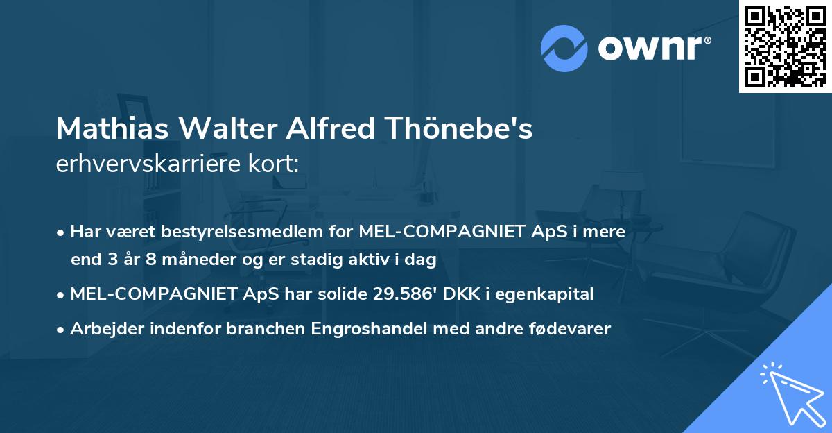 Mathias Walter Alfred Thönebe's erhvervskarriere kort