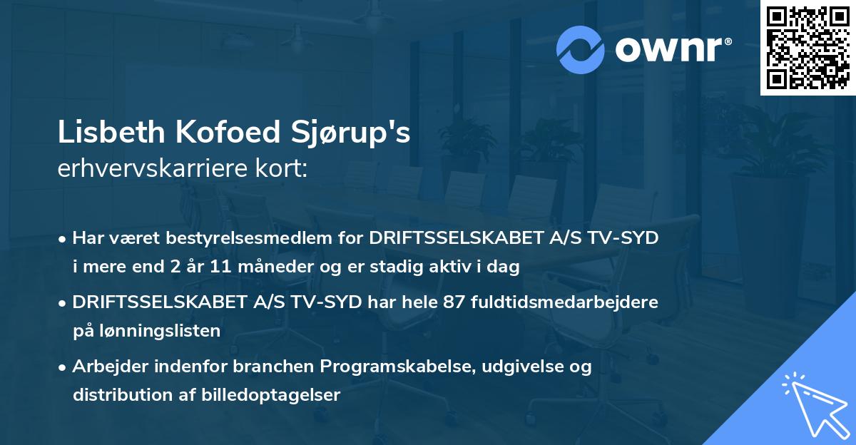 Lisbeth Kofoed Sjørup's erhvervskarriere kort