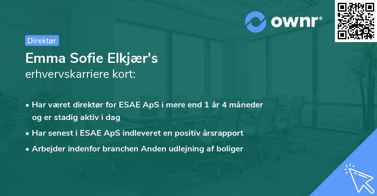Emma Sofie Elkjær's erhvervskarriere kort