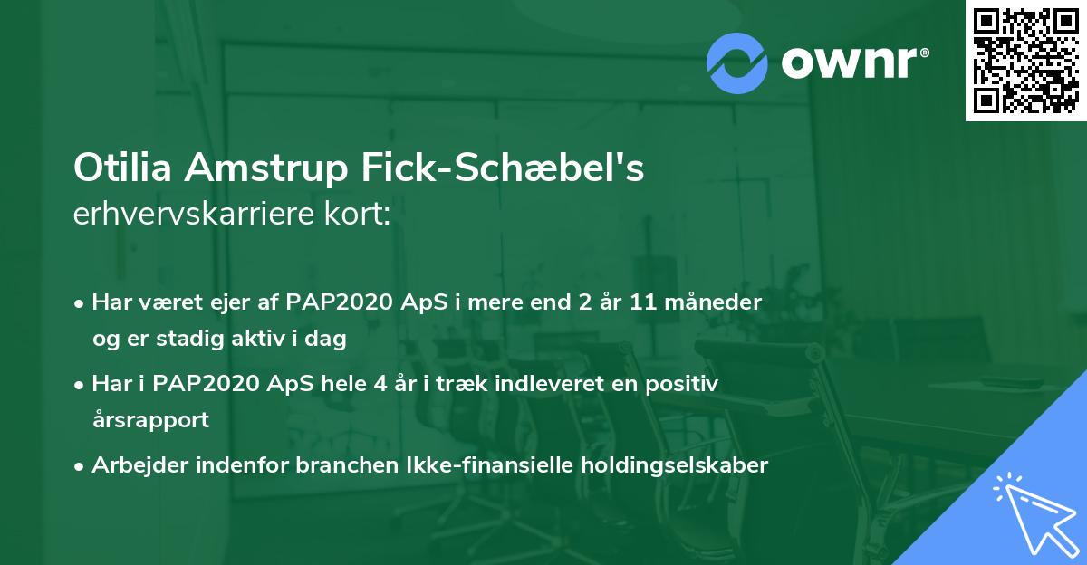 Otilia Amstrup Fick-Schæbel's erhvervskarriere kort