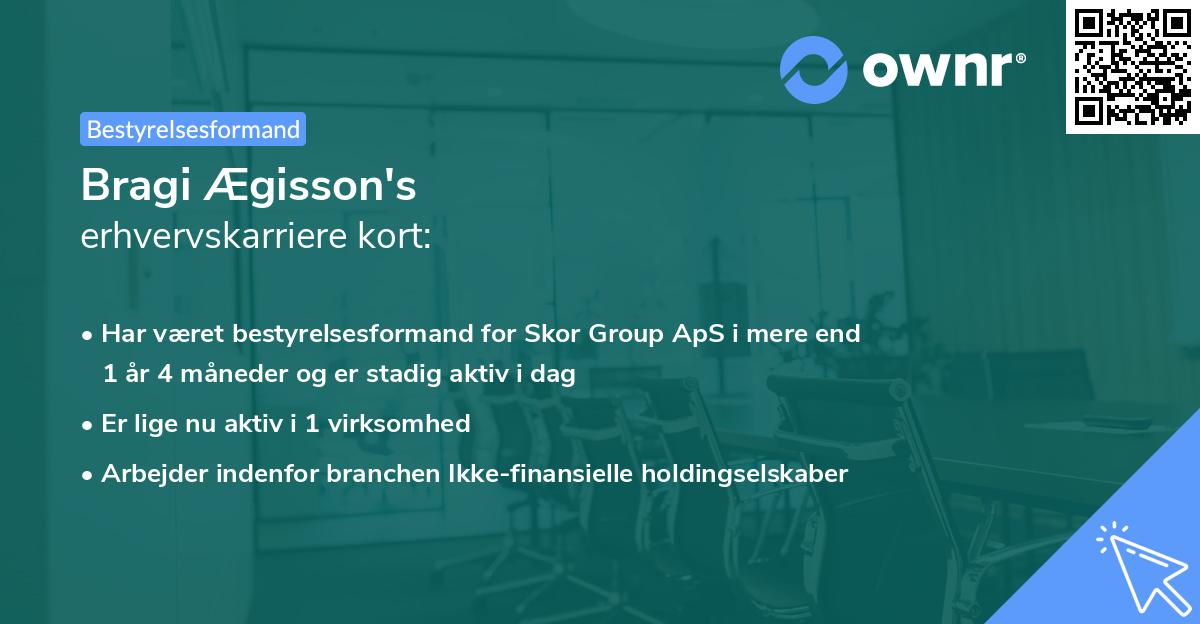 Bragi Ægisson's erhvervskarriere kort