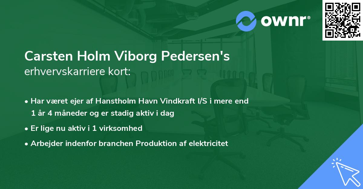 Carsten Holm Viborg Pedersen's erhvervskarriere kort