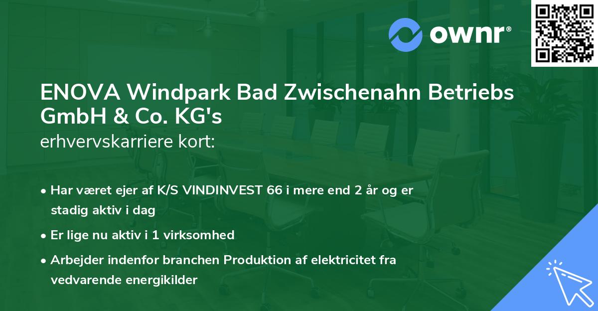 ENOVA Windpark Bad Zwischenahn Betriebs GmbH & Co. KG's erhvervskarriere kort