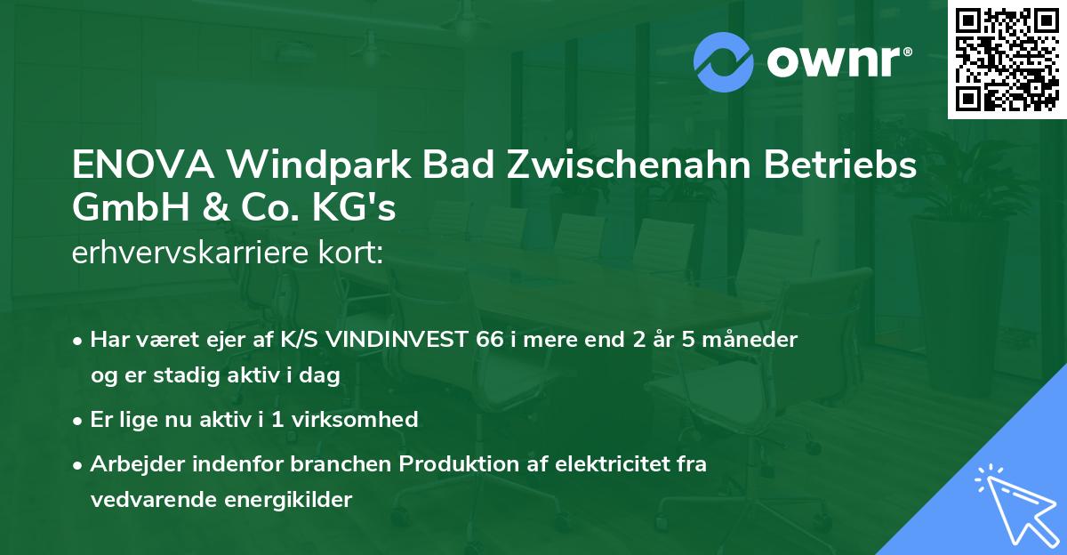 ENOVA Windpark Bad Zwischenahn Betriebs GmbH & Co. KG's erhvervskarriere kort