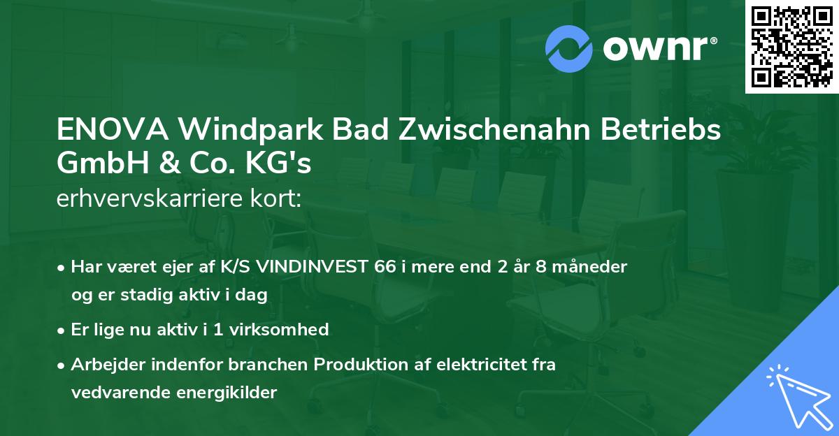 ENOVA Windpark Bad Zwischenahn Betriebs GmbH & Co. KG's erhvervskarriere kort