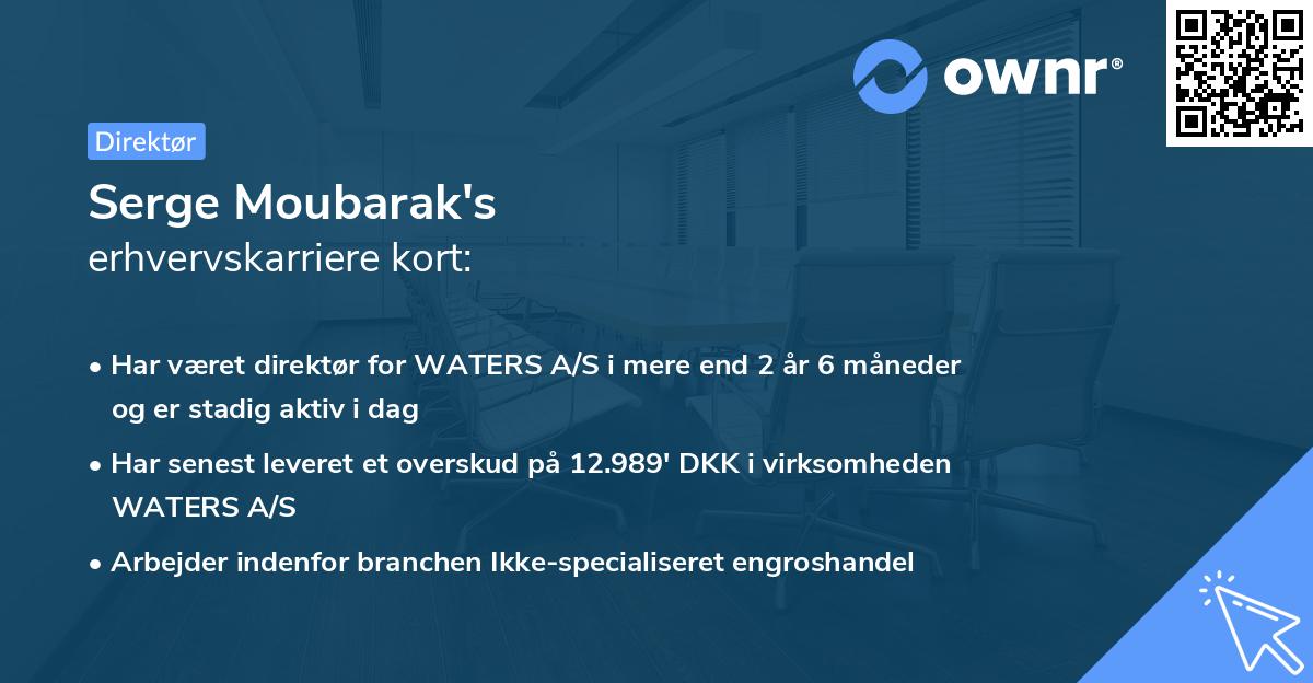 Serge Moubarak's erhvervskarriere kort