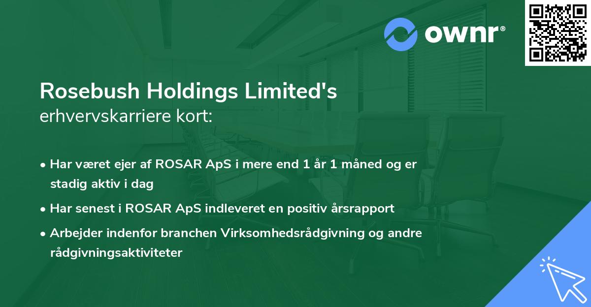 Rosebush Holdings Limited's erhvervskarriere kort