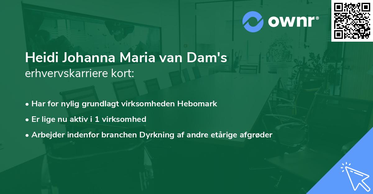 Heidi Johanna Maria van Dam's erhvervskarriere kort