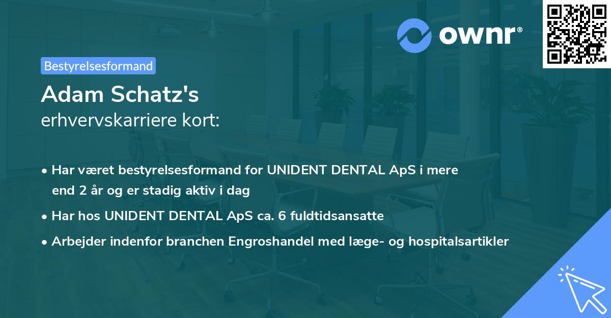 Adam Schatz's erhvervskarriere kort