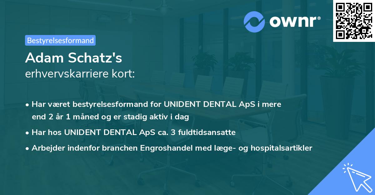 Adam Schatz's erhvervskarriere kort