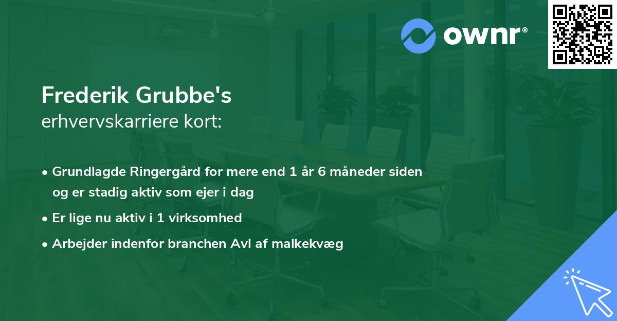 Frederik Grubbe's erhvervskarriere kort