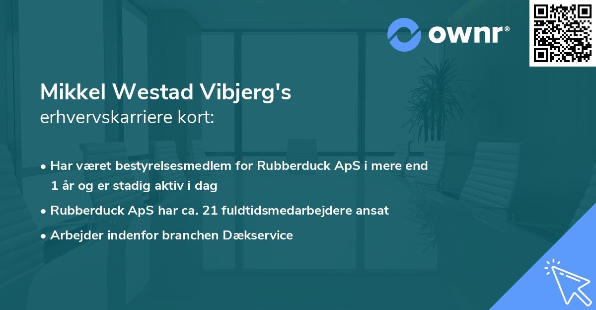 Mikkel Westad Vibjerg's erhvervskarriere kort